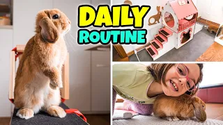 DAILY ROUTINE del NOSTRO CONIGLIETTO TRILLY: Una Giornata Pucciosa