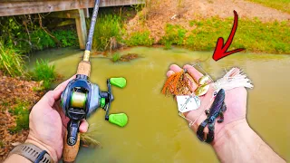 What LURE Should I Throw? (Pre-Spawn Bass Fishing)
