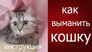 Лайфхак инструкция: как выманить и поймать кота, кошку из укрытия с помощью игрушки.