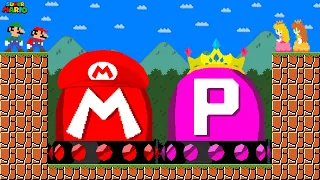 Can Mario and Luigi vs Ultimate MARIO - PEACH Switch in New Super Mario Bros Wii? | Game Animation