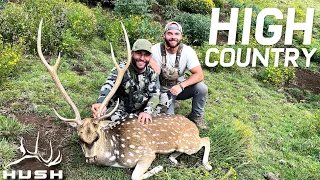 HUNTING HIGH COUNTRY AXIS DEER WITH CHAD MENDES | OFF AXIS S2E2