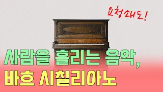 임윤찬이 연주하는 바흐 시칠리아노｜1시간 반복｜차분한 음악, 가사없는 음악