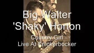 Big Walter Horton-Country Girl (Live At Knickerbocker)