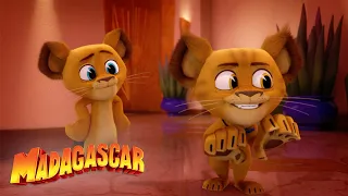 Doppelgänger!  | Madagascar: A Little Wild | Mini Moments