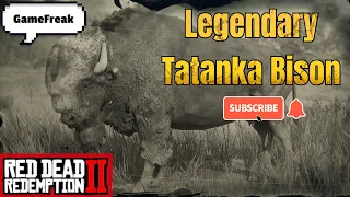 RDR2: Legendary Tatanka Bison in New Austin. #gaming #tutorial #videogames