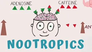 HOW TO BOOST BRAIN POWER - NOOTROPICS SUPPLEMENTS