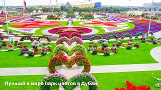 Лучший в мире парк цветов в Дубай