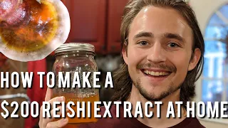 Everything about Reishi Mushrooms and How to Make an Extract