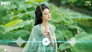 Nhạc TikTok Trung Quốc Lời Việt Remix ♫ LK Nhạc Hoa Lời Việt Remix Hay Nhất 2024