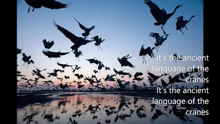 The Ancient Language of the Cranes by Sylvia Ernestina Vergara