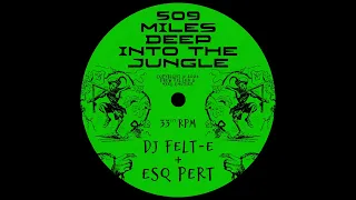 DJ Felt-E & Esq Pert - 509 Miles Deep Into the Jungle E.P.