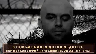 Бился до последнего с беспрельщиками! Вор в законе "Пачуна"