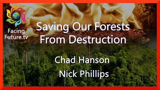 Saving Our Forests From Destruction