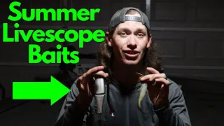 My Top 3 Baits For Summer Livescope (Big Bass Baits)