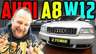 Marco SCHRAUBT! - Audi A8 6.0 W12 - Inspektion am 12 Zylinder!