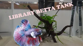 Building a Library Betta Tank