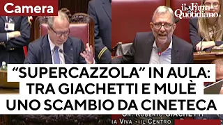 Mulé riprende il deputato M5S per aver utilizzato il termine "Supercazzola". La difesa di Giachetti