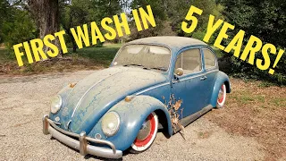 FIRST Wash in (5 YEARS) Forgotten 1966 VW Beetle