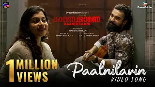 Paalnilavin Video Song| Kaanekkaane| Ranjin Raj| Vinayak Sasikumar|Sithara Krishnakumar|Manu Ashokan