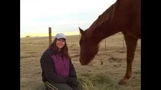 Summit Session 19! Gestalt Equine Therapy! The Art of Healing Contact with Horse