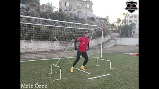 Pro goalkeeper training