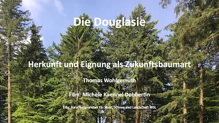 Die Douglasie - Herkunft und Eignung als Zukunftsbaumart
