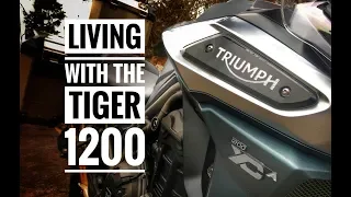 Long Term Review - Living with the 2018 Triumph Tiger 1200