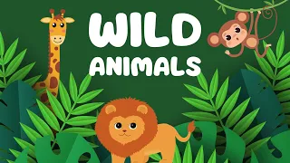 Wild Animals quiz Action Look point and say