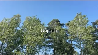 First Month of Uppsala Exchange Life