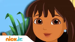 Даша и друзья  | Учим английский с Дашей - Часть 2 | Nick Jr. Россия