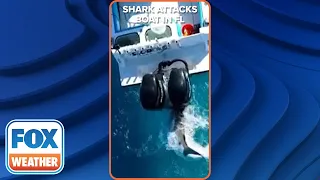 'Started Shaking Like An Earthquake': Drone Video Captures Shark Attacking Boat Off FL Coast