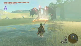 Zelda Tears of the Kingdom - Lynel kill Flame Gleeok Final attack