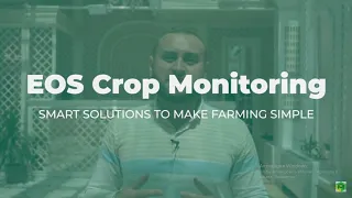 Crop Monitoring. Супутниковий моніторинг полів онлайн