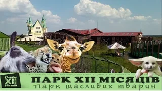 Парк счастливых животных "12 МЕСЯЦЕВ"