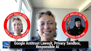 Go, Cathy, Go! - Google Antitrust Lawsuit, Privacy Sandbox, Responsible AI