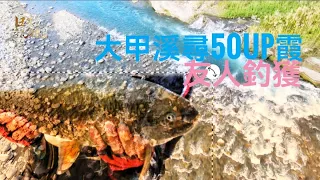 釣魚狂人4K  大甲溪，越50霞面蹤跡，傳說的巨物，是否真實存在，使用SHIMANO魚呎版，見證奇蹟Stream Fishing Taiwan