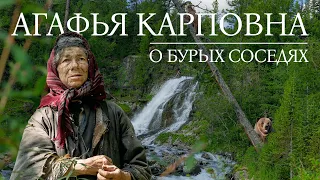 Агафья Карповна о бурых соседях