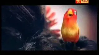 KITKAT Love Birds Tamil Ad Advertisement Tamil TVC