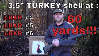 Winchester Long Beard XR at 60 YARDS | Turkey Pattern Test | All THREE shot sizes tested!