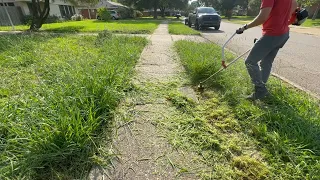 Neighbors NEEDED my help RESTORING this OVERGROWN LAWN