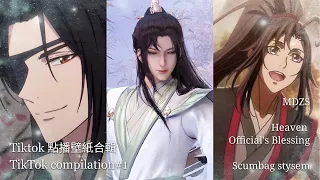 Tiktok 點播壁紙合輯 TikTok compilation#2 《魔道祖師+天官賜福+穿書自救》MDZS/Heaven Official's Blessing/scumbag stysem