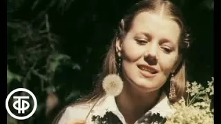 Людмила Сенчина "Полевые цветы". Фрагмент программы "Лирическая песня" (1983)