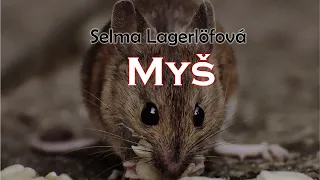 Myš - Selma Lagerlöfová |  Rozhlasová hra