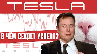 История успеха Tesla и Илона Маска | Интересные факты | Сколько стоит Тесла сейчас