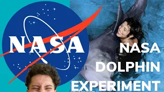 NASA Dolphin Experiment