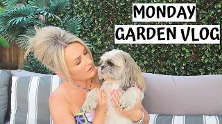 I Am Not Gonna Get Divorced Over Sofas😂😂, Skin Care & Giveaway Winners - MONDAY GARDEN VLOG