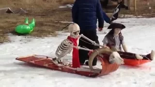 Huff Hills Dummy Race