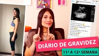 Diário de Gravidez - 11ª a 12ª Semana de Gestação | Dicas da Japa