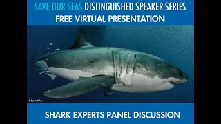 Save Our Seas Distinguished Speaker Series: Shark Panel Discussion