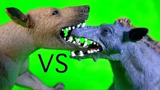 FIGHT BATTLE Entelodont Daeodon VS Hyaenodon Gigas REMATCH PREHISTORIC ANIMALS Who will win?